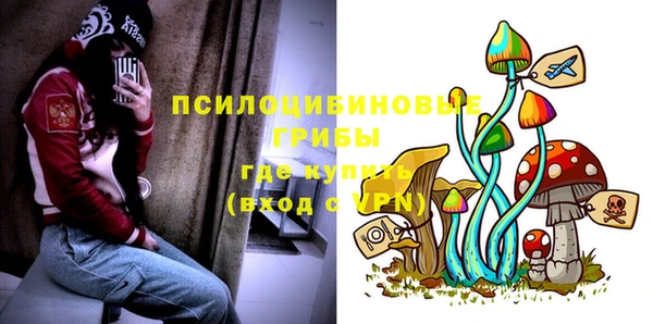 круглые Переславль-Залесский