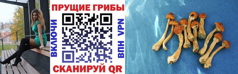 Галлюциногенные грибы GOLDEN TEACHER  Скопин 