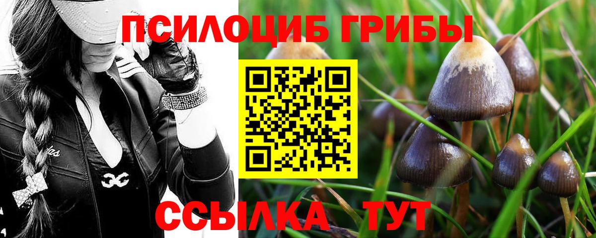 Скопин  Псилоцибиновые грибы GOLDEN TEACHER  Вход с VPN  Галлюциногенные грибы мицелий 