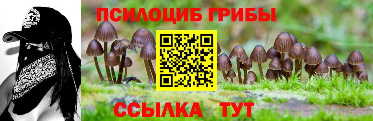 Галлюциногенные грибы Cubensis Скопин